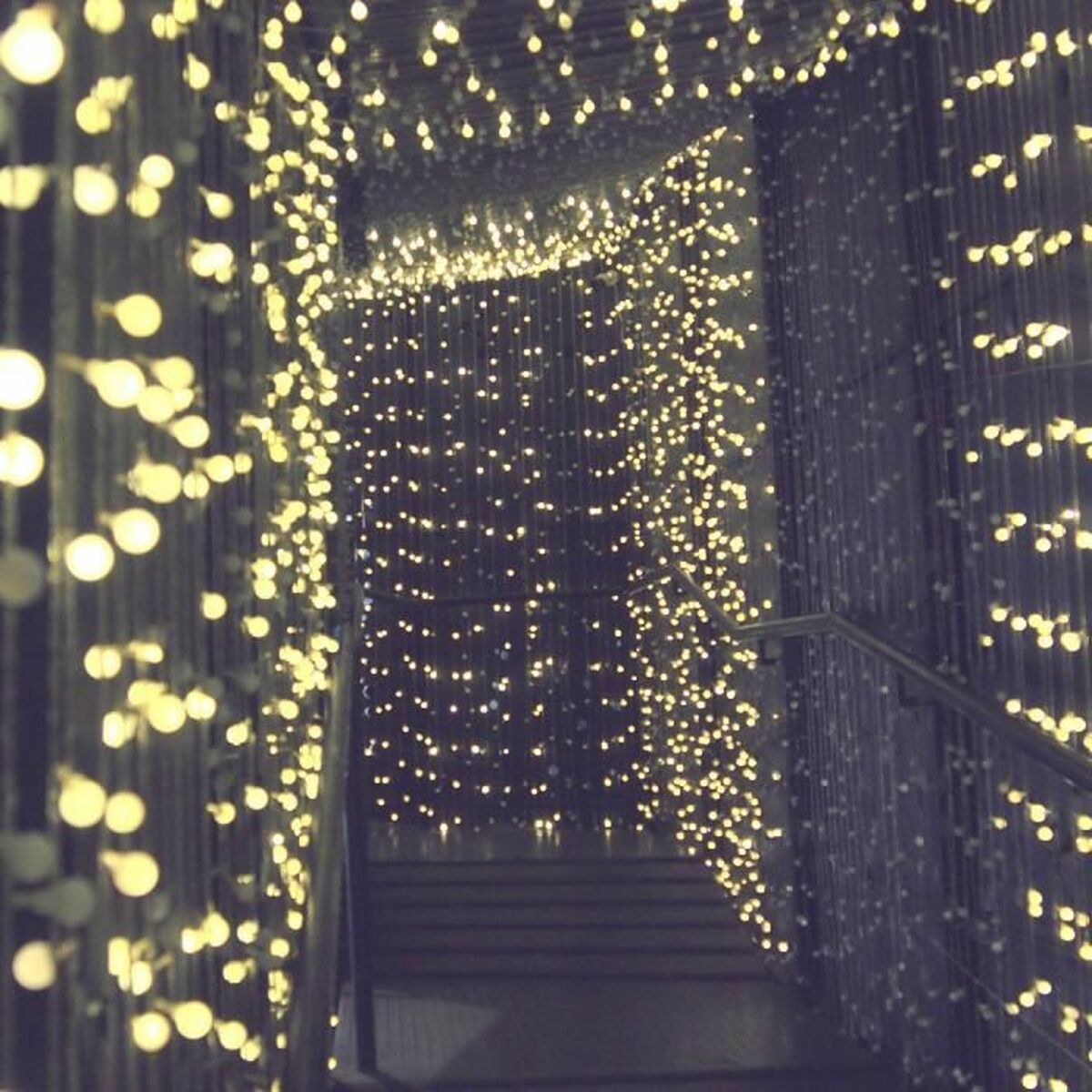 V2HAF9EF8AB9A6F8172C1BCA2C297A53C9AR7220111P3